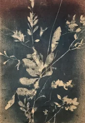 Botânicos azuis vintage