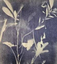 Azuis botânicos vintage