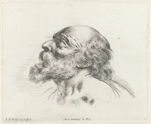 Cabeça de um velho careca com barba, de perfil à esquerda (possivelmente São Pedro)
Os princípios do desenho (título da série)
I principii del disegno (título da série)