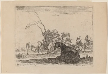 Cavalos em um pasto