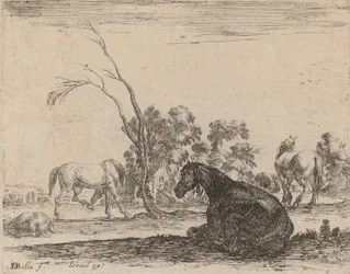 Cavalos em um pasto, 1642.