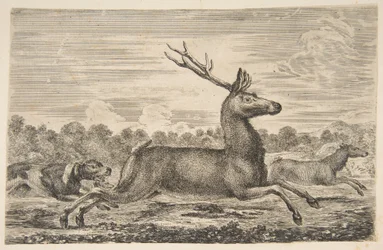 Cães perseguindo um veado e uma corça, ca. 1654