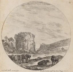 paisagem