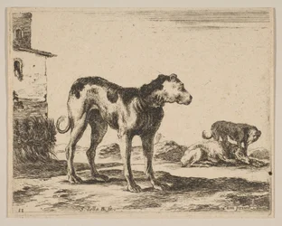 Ilustração 11: cães de vários animais Diversi animali, ca. 1641