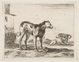 Ilustração 11: cães de vários animais Diversi animali, ca. 1641