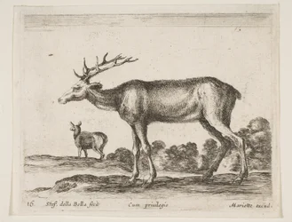 Ilustração 16: veado, de Vários animais Diversi animali, ca. 1641