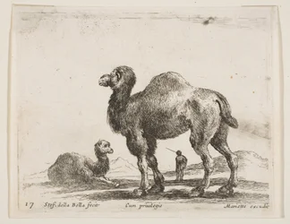 Ilustração 17: camelos de vários animais Diversi animali, ca. 1641
