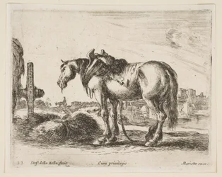 Ilustração 22: cavalo de carroça, de Various animals Diversi animali, ca. 1641