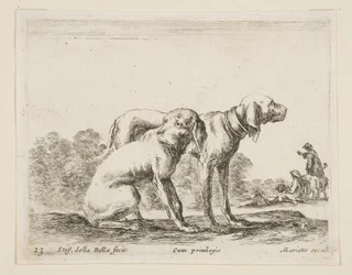Ilustração 23: dois cães, de Various animals Diversi animali, ca. 1641
