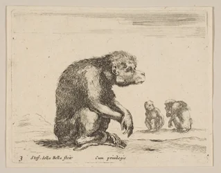 Ilustração 3: macaco sentado, de Various animals Diversi animali, ca. 1641