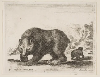 Placa 4: urso, de "Vários animais" Diversi animali, 1641.