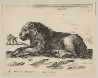 Ilustração 5: leão reclinado, de Various animals Diversi animali, ca. 1641