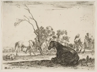 Ilustração 8: um cavalo sentado à direita, visto por trás e virado para a esquerda, três outras hor ..., 1642.