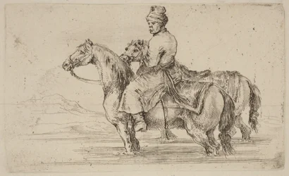 Acompanhante polaco com dois cavalos