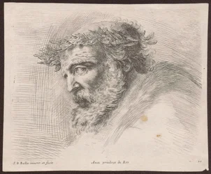 Estudo da cabeça de um velho barbudo com coroa de louros, de perfil, virado para a esquerda, da série Principii del disegno