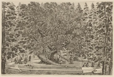 A Árvore Habitada, provavelmente 1653.