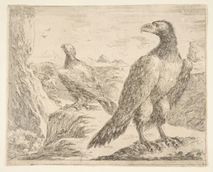 Duas águias, de Eagles Les aigles, ca. 1651