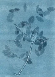 Jardim da meia-noite I, 2015