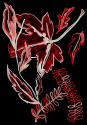 Flora Nocturna I, 2018 (digital)