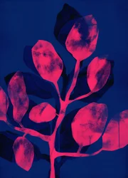 Jardim de verão III cor-de-rosa, 2018 (digital)