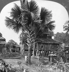 Casa nativa construída em pilhas, Bhamo, Birmânia, 1908