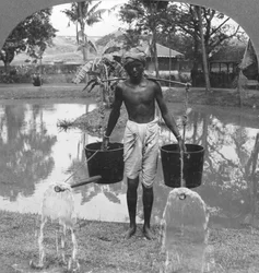 Regadores usados para aspersão de rua, Birmânia, 1908