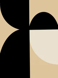 Curvas geométricas abstratas