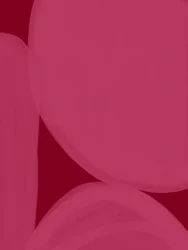 Formas fluidas em rosa