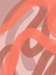 Curvas abstratas e acolhedoras