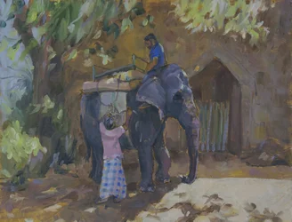 Elefante, Sri Lanka, 2015