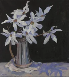 Magnólias Brancas em Silver Jug, 2019