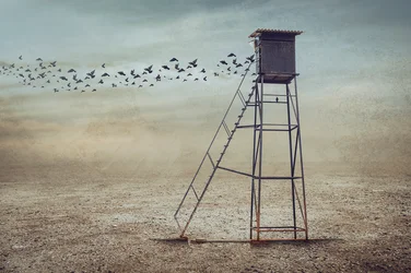 Pássaros sobre a Torre de Vigia Solitária