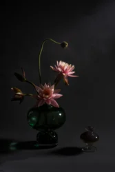 Lírios cor-de-rosa elegantes