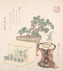 Pinheiro em vaso, Tambor e Sete Ervas Plantadas em Caixa, Séc. XVIII-XIX., Séc. XVIII-XIX.