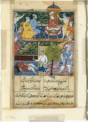Página de Contos de um Papagaio Tuti-nama: Oitava noite: O jovem príncipe é coroado..., 1558-1560.