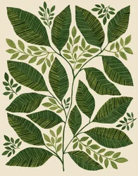 Folhas verdes de plantas