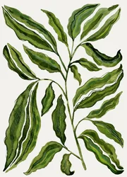 Folhas verdes biológicas