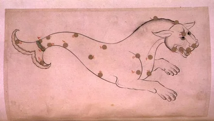 Constelações: Cetus, a baleia