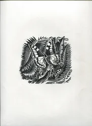 Borboletas Tropicais (gravura em madeira)