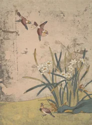 Pássaros e Narciso.
