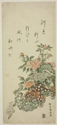Peônias e leões chineses