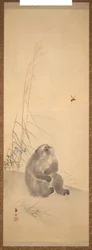 Aap