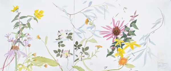 Plantas medicinais e curativas, 2021 (aguarela sobre papel)