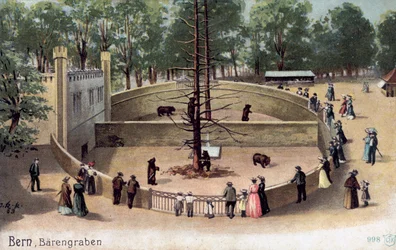 Berna, Bear Garden (cor litho)