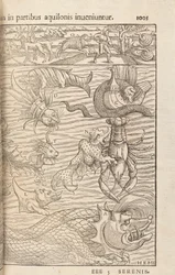 Página 1005 da Cosmographiae Universalis por Sebastian Muenster, Basel, 1572