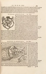 Página 983 de Cosmographiae Universalis por Sebastian Muenster, Basel, 1572