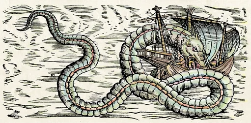 Monstro marinho, ilustração de "Historiae Animalium" de Conrad Gesner