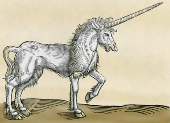 Unicorn, de uma história de animais por Conrad Gesner de 1551
