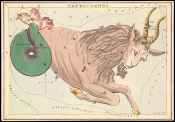Capricornus, c.1825 (cartão, papel, tecido)