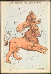 Leão Maior e Leão Menor, c.1825 (cartão, papel, tecido)
